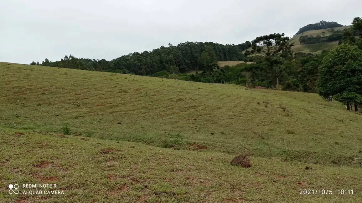 Foto 5 de Sítio / Rancho com 3 quartos à venda, 300m2 em Joanopolis - SP