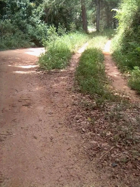 Foto 8 de Sítio / Rancho com 3 quartos à venda, 300m2 em Joanopolis - SP