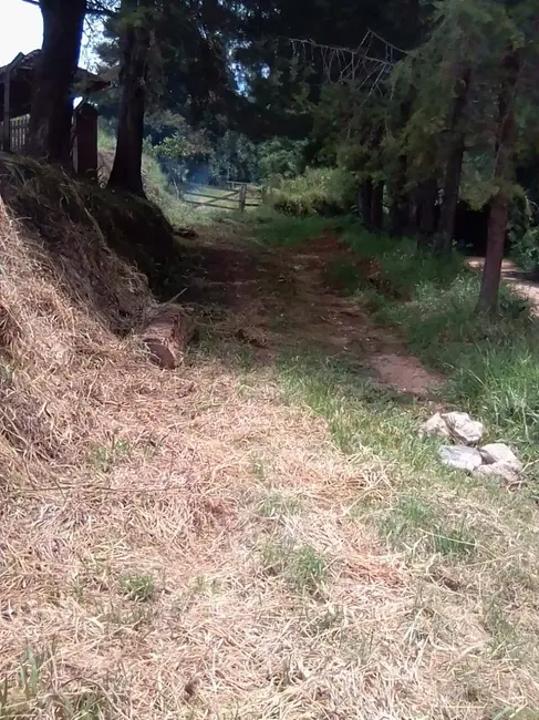 Foto 9 de Sítio / Rancho com 3 quartos à venda, 300m2 em Joanopolis - SP