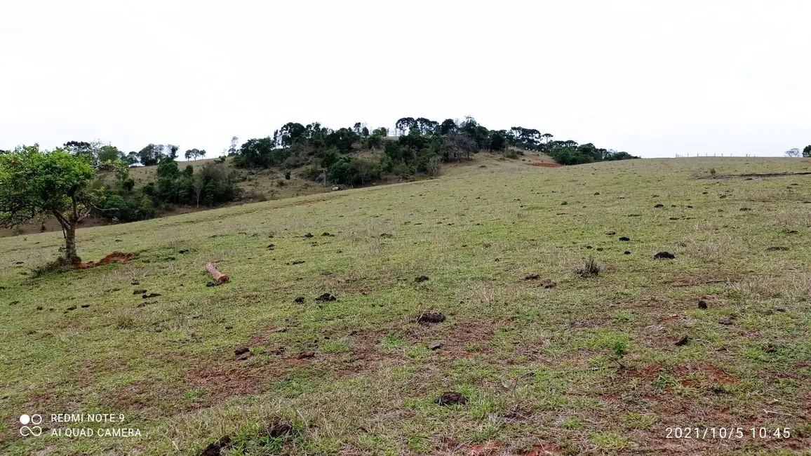 Foto 6 de Sítio / Rancho com 3 quartos à venda, 300m2 em Joanopolis - SP