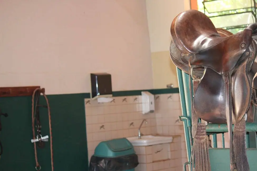 Foto 7 de Fazenda / Haras com 3 quartos à venda, 44m2 em Piracaia - SP