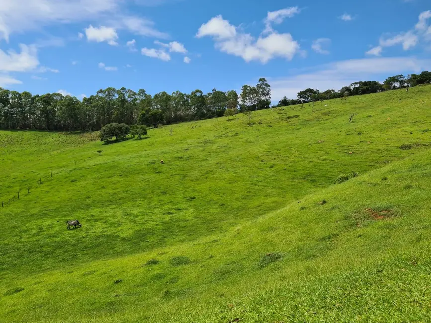 Foto 10 de Sítio / Rancho à venda em Batatuba, Piracaia - SP