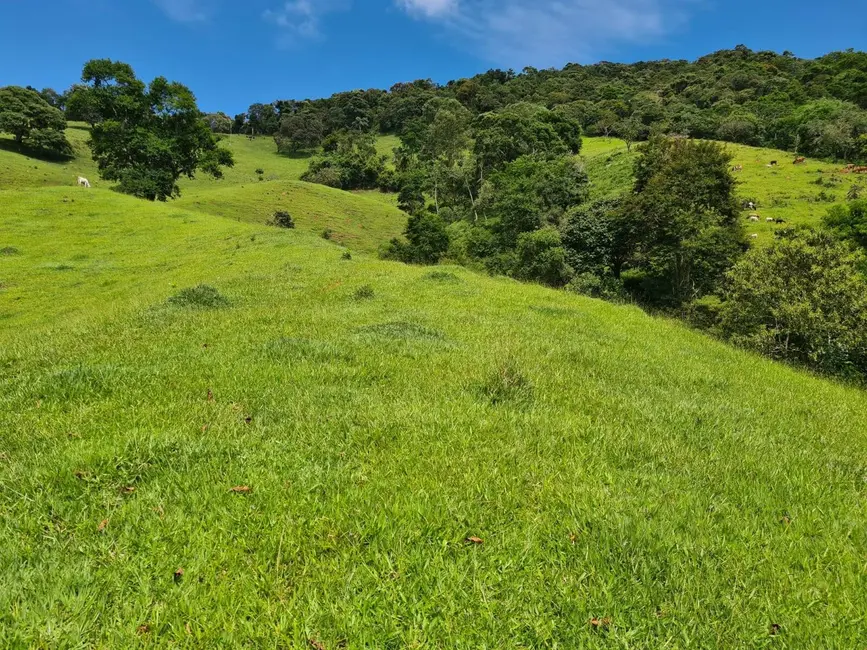 Foto 6 de Sítio / Rancho à venda em Batatuba, Piracaia - SP
