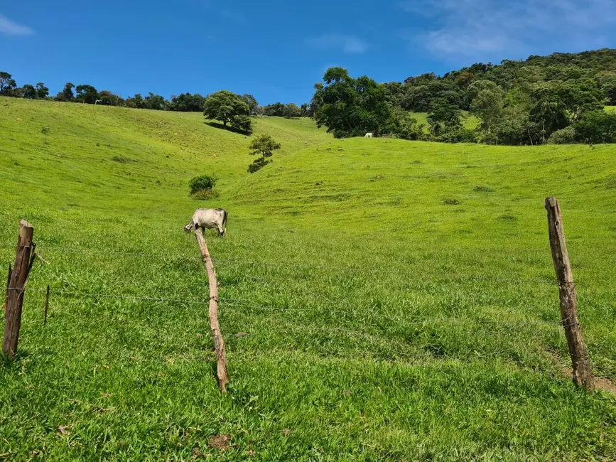 Foto 3 de Sítio / Rancho à venda em Batatuba, Piracaia - SP