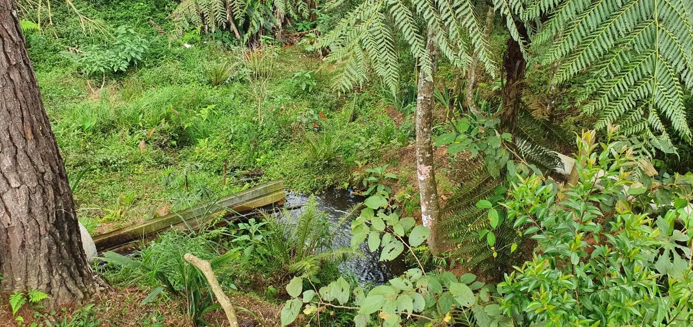 Foto 9 de Chácara com 3 quartos à venda, 250m2 em Nazare Paulista - SP