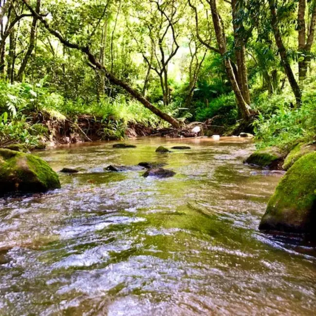 Chácara com 6 quartos à venda, 250m2 em Joanopolis - SP - imagem 1 Foto 1 de Chácara com 6 quartos à venda, 250m2 em Joanopolis - SP