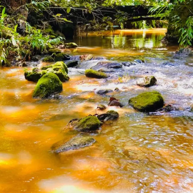 Chácara com 6 quartos à venda, 250m2 em Joanopolis - SP - imagem 8 Foto 8 de Chácara com 6 quartos à venda, 250m2 em Joanopolis - SP