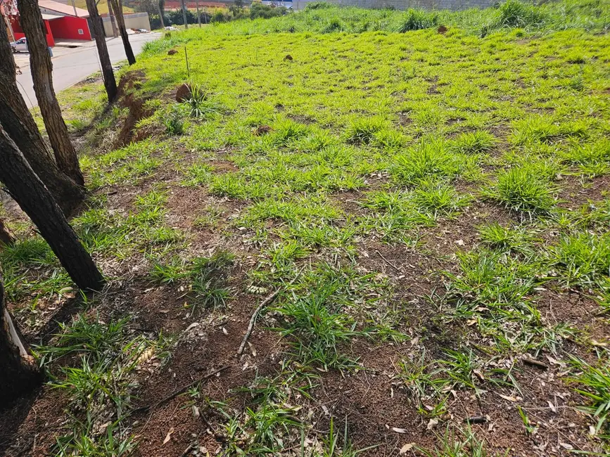 Foto 7 de Sala Comercial à venda, 881m2 em Mato Dentro, Atibaia - SP