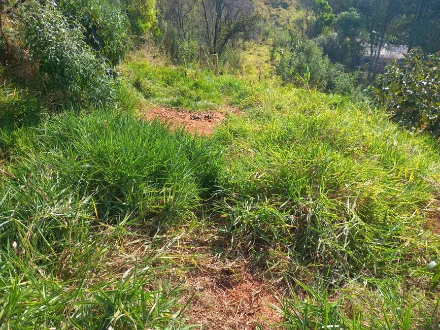 Foto 4 de Terreno / Lote à venda, 1252m2 em Mairipora - SP