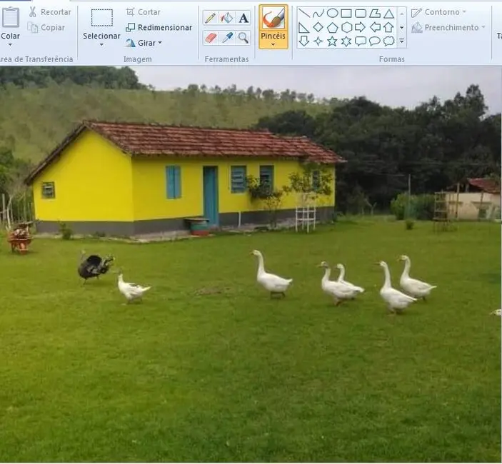 Foto 4 de Chácara com 4 quartos à venda, 100m2 em  - SP