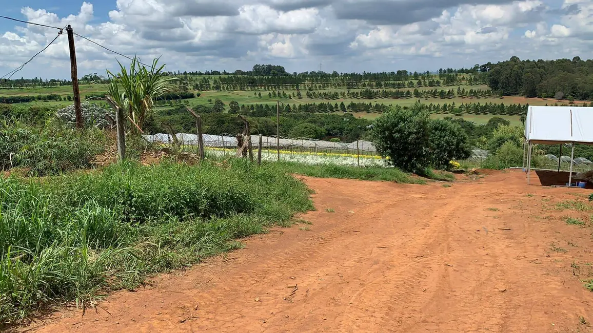 Foto 3 de Sítio / Rancho com 3 quartos à venda, 300m2 em Campo Novo, Braganca Paulista - SP