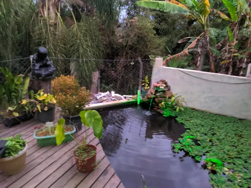 Foto 3 de Chácara com 2 quartos para alugar, 250m2 em Mairipora - SP