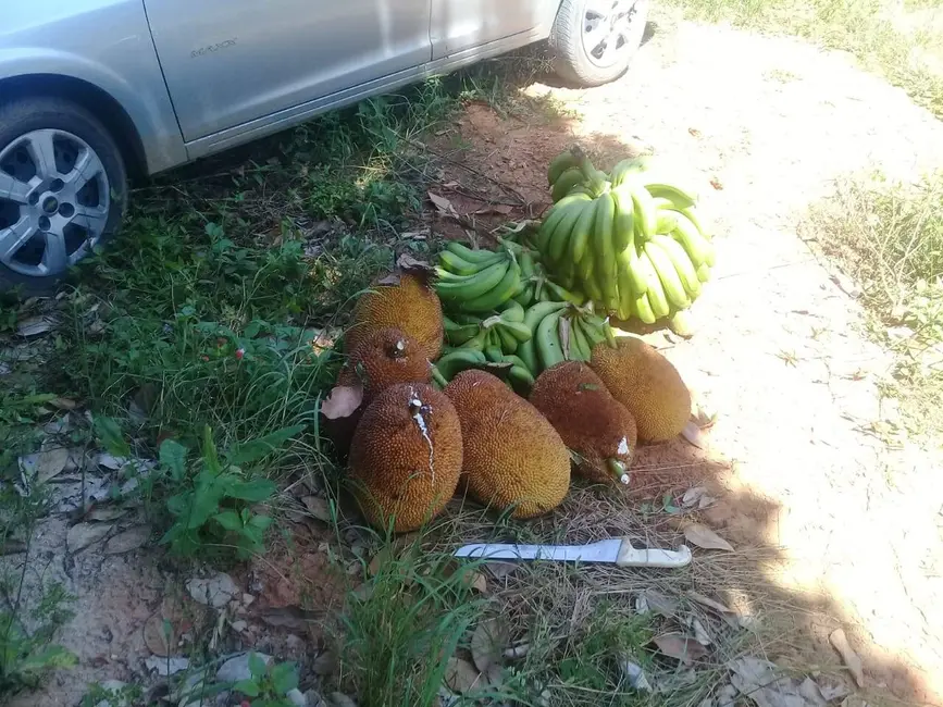 Foto 8 de Chácara com 2 quartos à venda, 90m2 em Igarata - SP