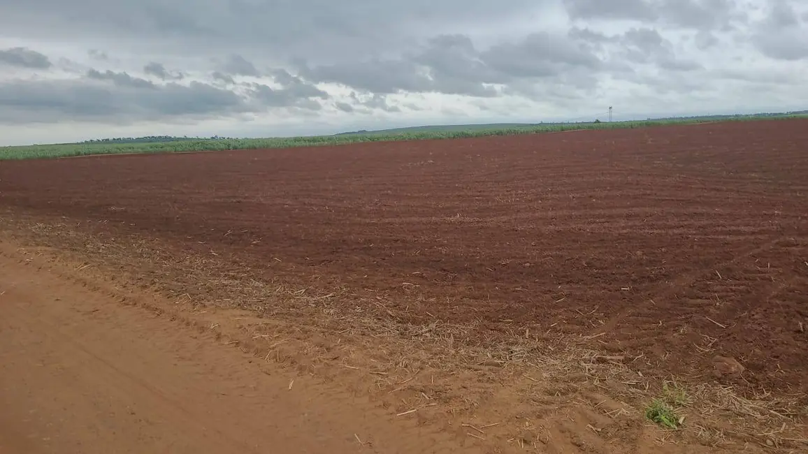 Foto 9 de Fazenda / Haras à venda, 484m2 em Centro, Sao Manuel - SP