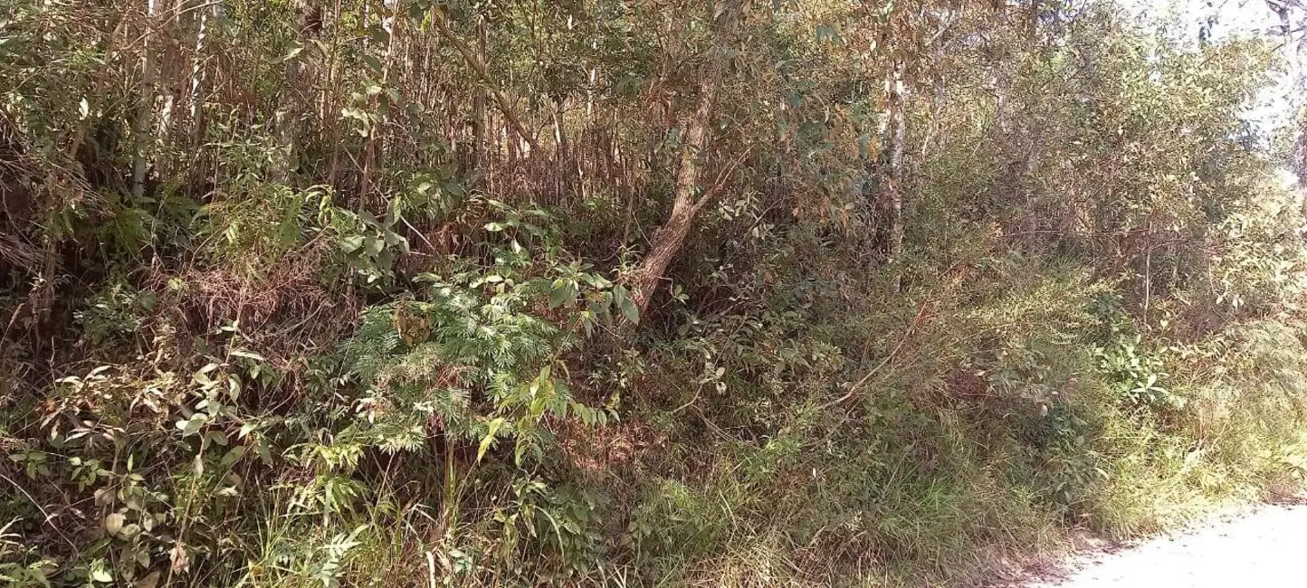 Foto 8 de Terreno / Lote à venda, 1769m2 em Mairipora - SP