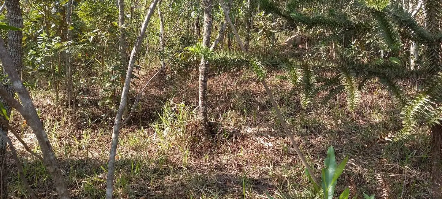 Foto 6 de Terreno / Lote à venda, 1769m2 em Mairipora - SP
