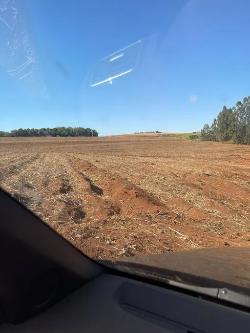 Foto 1 de Fazenda / Haras à venda, 1000m2 em Tibaia de São Fernando, Sao Carlos - SP