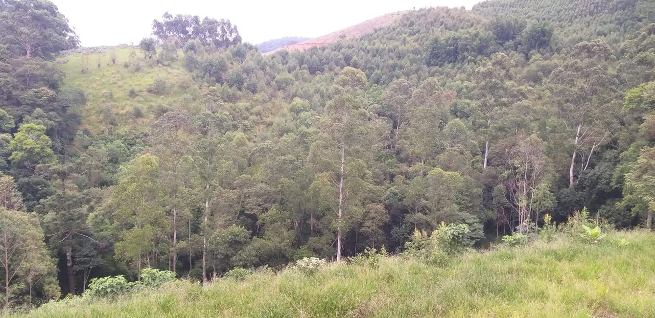 Foto 7 de Chácara com 3 quartos à venda, 180m2 em Nazare Paulista - SP