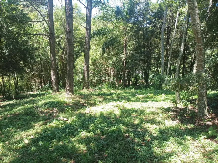 Foto 8 de Terreno / Lote à venda, 1570m2 em Mairipora - SP