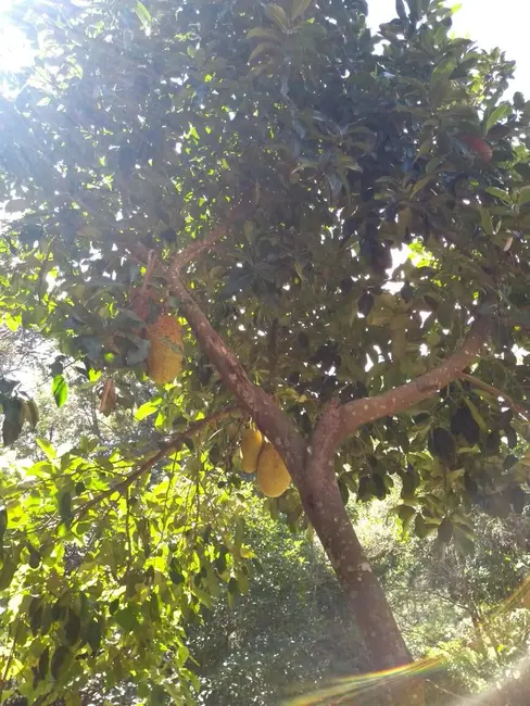 Foto 3 de Chácara com 2 quartos à venda, 90m2 em Mairipora - SP