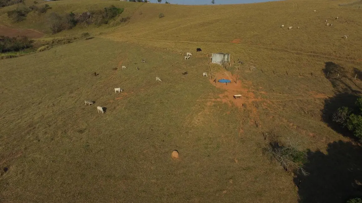 Foto 2 de Chácara com 4 quartos à venda, 17m2 em Piracaia - SP