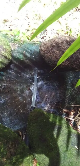 Sítio / Rancho com 5 quartos à venda, 250m2 em Joanopolis - SP - imagem 4 Foto 4 de Sítio / Rancho com 5 quartos à venda, 250m2 em Joanopolis - SP