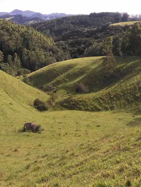 Sítio / Rancho com 5 quartos à venda, 250m2 em Joanopolis - SP - imagem 8 Foto 8 de Sítio / Rancho com 5 quartos à venda, 250m2 em Joanopolis - SP