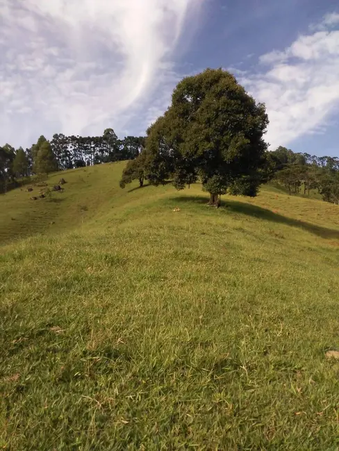 Sítio / Rancho com 5 quartos à venda, 250m2 em Joanopolis - SP - imagem 1 Foto 1 de Sítio / Rancho com 5 quartos à venda, 250m2 em Joanopolis - SP