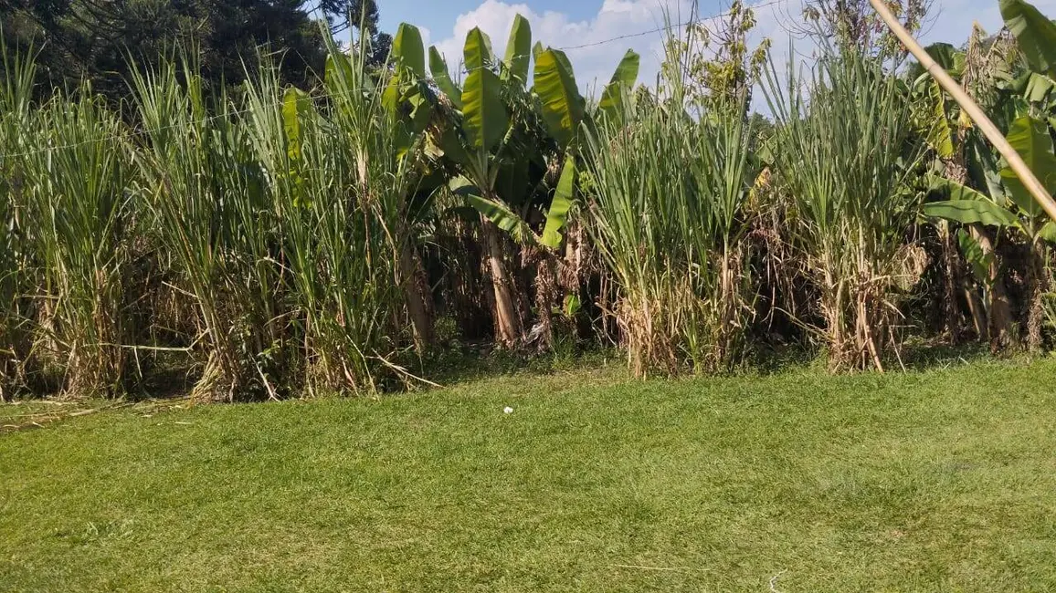 Foto 8 de Chácara com 2 quartos à venda, 200000m2 em Mairipora - SP