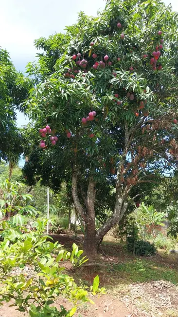 Foto 4 de Chácara com 2 quartos à venda, 256m2 em Mairipora - SP