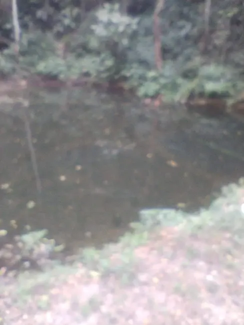 Foto 4 de Chácara com 3 quartos à venda, 100m2 em Mairipora - SP