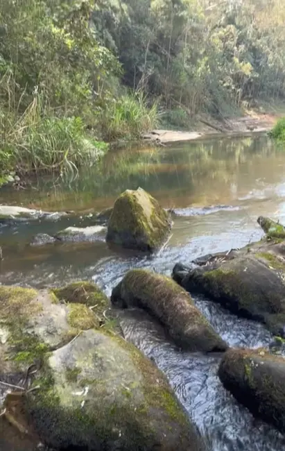 Foto 5 de Sítio / Rancho à venda e para alugar em Igarata - SP
