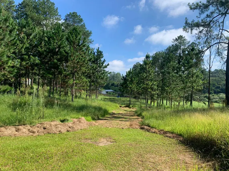 Foto 4 de Sítio / Rancho com 6 quartos à venda, 500m2 em Área Rural de Arujá, Aruja - SP