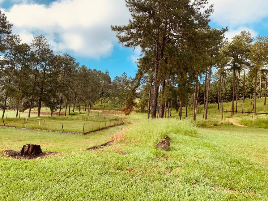 Foto 5 de Sítio / Rancho com 6 quartos à venda, 500m2 em Área Rural de Arujá, Aruja - SP