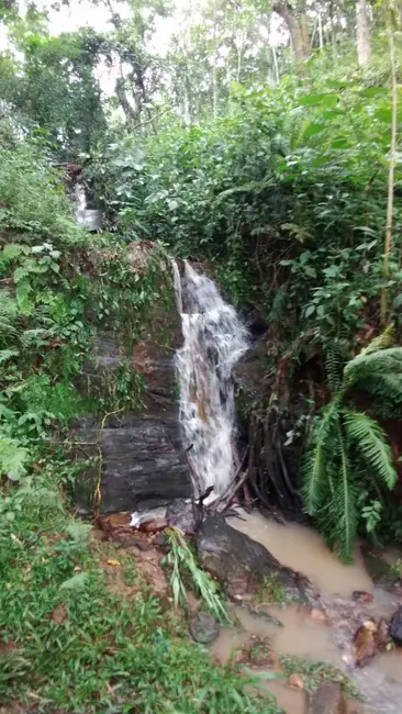 Foto 3 de Sítio / Rancho à venda, 450m2 em Santa Isabel - SP