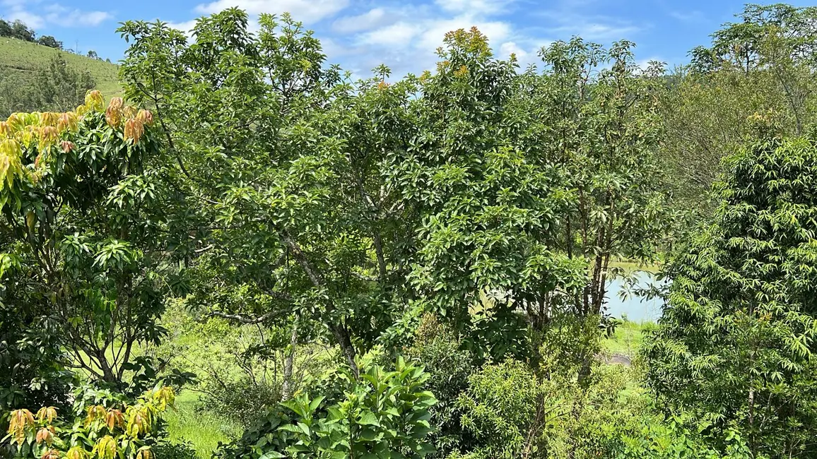 Foto 9 de Chácara com 3 quartos à venda, 200m2 em Santa Isabel - SP