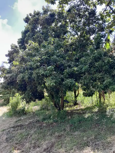 Foto 2 de Chácara com 5 quartos à venda, 250m2 em Morro Grande da Boa Vista, Braganca Paulista - SP