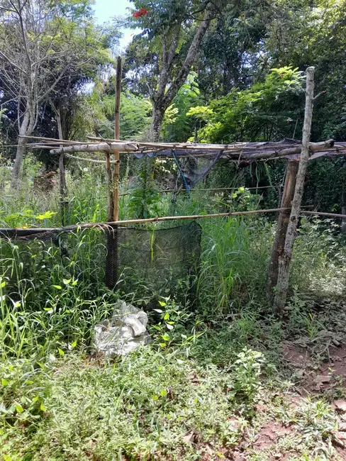 Foto 4 de Chácara com 5 quartos à venda, 250m2 em Morro Grande da Boa Vista, Braganca Paulista - SP