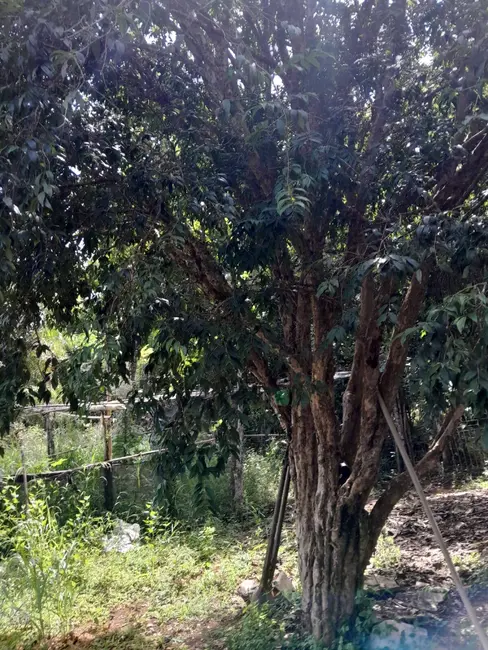 Foto 7 de Chácara com 5 quartos à venda, 250m2 em Morro Grande da Boa Vista, Braganca Paulista - SP