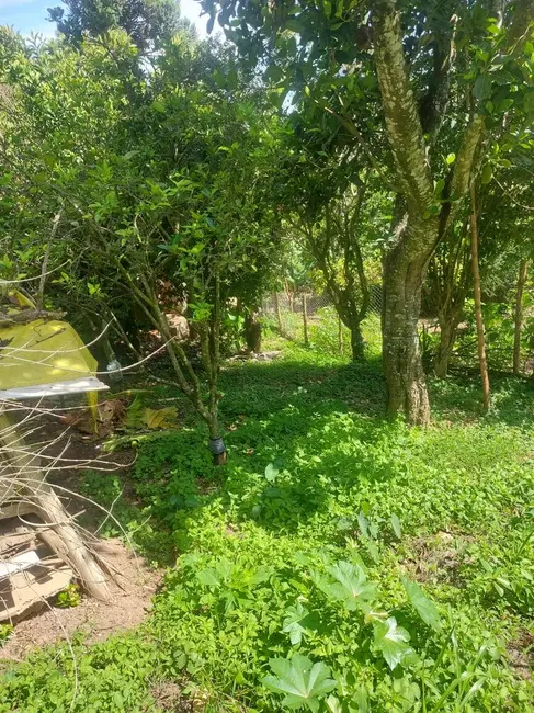 Foto 9 de Chácara com 3 quartos à venda, 170m2 em Nazare Paulista - SP