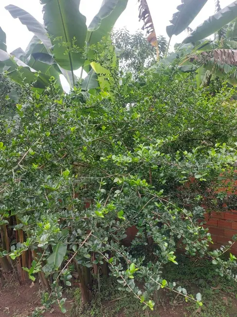 Chácara com 3 quartos à venda, 120m2 em Nazare Paulista - SP - imagem 9 Foto 9 de Chácara com 3 quartos à venda, 120m2 em Nazare Paulista - SP