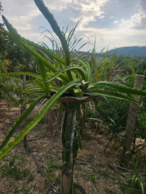 Foto 9 de Chácara com 2 quartos à venda, 190m2 em Mairipora - SP