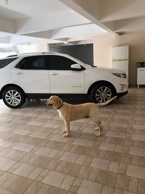 Foto 8 de Casa de Condomínio com 5 quartos à venda, 411m2 em Barueri - SP
