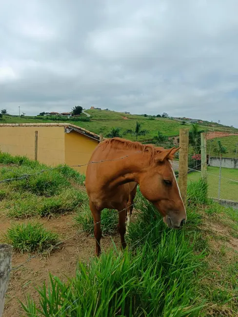 Chácara com 3 quartos à venda e para alugar em Igarata - SP - imagem 8 Foto 8 de Chácara com 3 quartos à venda e para alugar em Igarata - SP