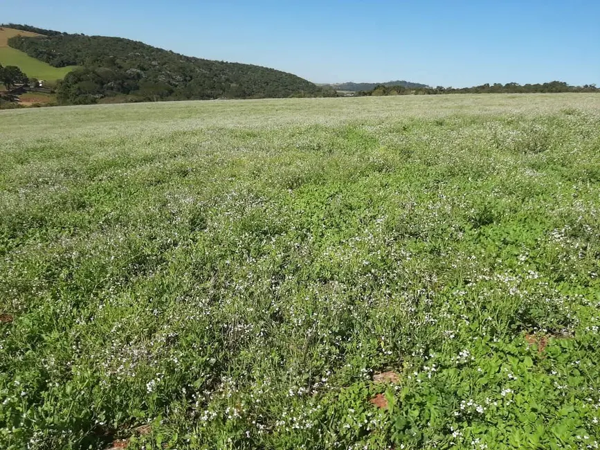 Foto 1 de Sítio / Rancho com 7 quartos à venda, 30000m2 em Área Rural de Bragança Paulista, Braganca Paulista - SP