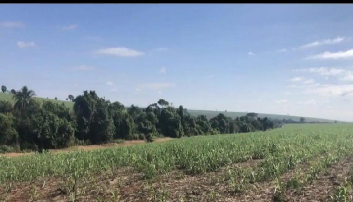 Foto 1 de Fazenda / Haras com 6 quartos à venda, 214m2 em Área Rural de Araraquara, Araraquara - SP