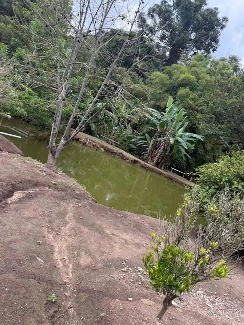Foto 5 de Chácara com 4 quartos à venda, 300m2 em Pedra Bela - SP
