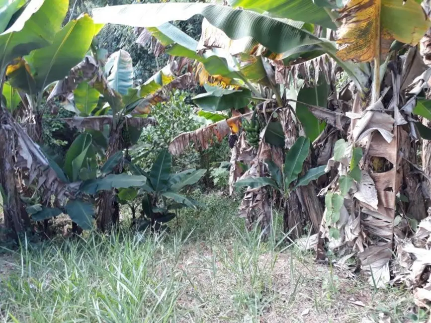 Foto 4 de Chácara com 3 quartos à venda, 1500m2 em Mairipora - SP