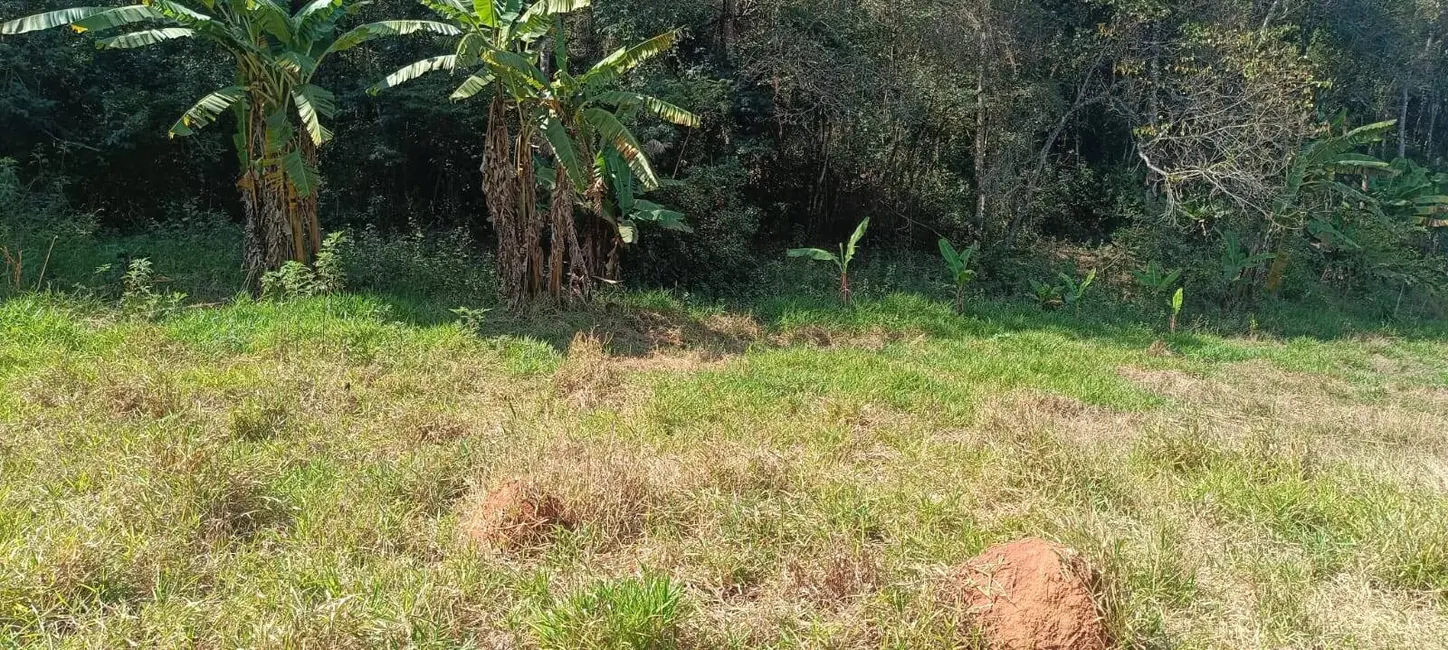 Terreno / Lote à venda em Usina, Atibaia - SP - imagem 6 Foto 6 de Terreno / Lote à venda em Usina, Atibaia - SP