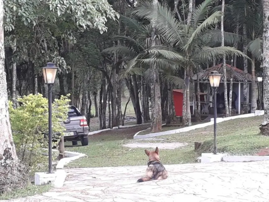 Foto 9 de Fazenda / Haras com 6 quartos à venda, 80m2 em Juquitiba - SP